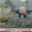 Jay-Jay the Jet Plane