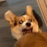 烦恼通通走开！