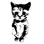meow avatar