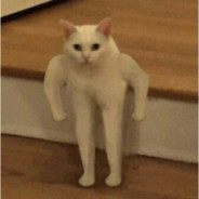 i toss