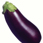 БАКЛАЖАН ЕБАТОР