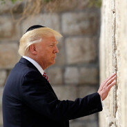 Trump Jew