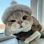 翻斗花园牛图图.