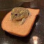 SirToad of Bread