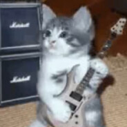 sick cat playing guitar