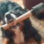 Granata_568