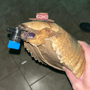 kurepa