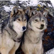 阳光开朗大男孩