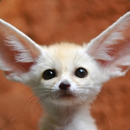 ♫♪ F☻X ♪♫ - steam id 76561198081991373