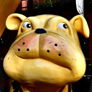 杨大爷要打游戏