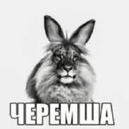 черемша