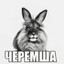 черемша