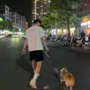 满山猴子我腚最红