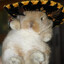 mochaccino