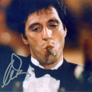 adnix. - steam id 76561197965562445
