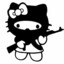 Ak cat