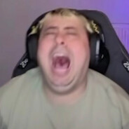 hamsinsane