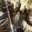 ANARHIST