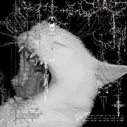 ʸᵒᵘ𝖘𝖍𝖊𝖑𝖋