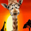 Giraffe Sadi