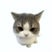 我想成为你的眼泪