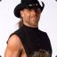 Shawn Michaels AION mode