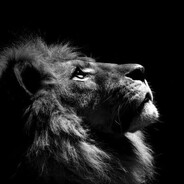 The Lion