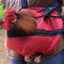 Backpack Chicken