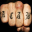 A.C.A.B. 2003