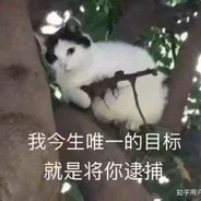 骑着骨头的仓鼠