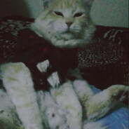 𝕊̲𝕥̲𝕠̲𝕝̲𝕫̲