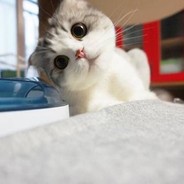 人家还是小宝宝呢