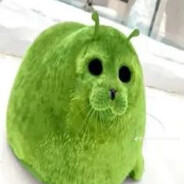 riverr avatar