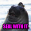 Sebastian the Slippery Seal