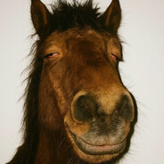 AGGRESSIVE PLAYER PROFILE