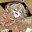 krizz124