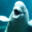 Beluga Whale's avatar