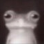 Avatar of coolfroglover (1,2cm)