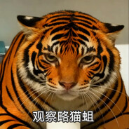 妈妈我是一只小老虎