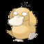 Psyduck