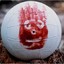 castawaywilson