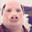 John Pork