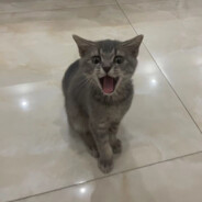 Big Avatar