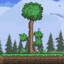 Terraria Tree