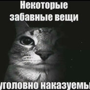 []GROKER[] avatar
