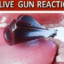 Live gun reaction