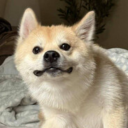 DrunkinKitty - steam id 76561198097172871