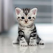 obsidiandinkleberrys