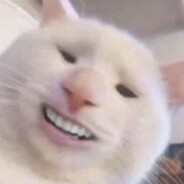 要什么说，芭芭给你