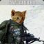 cat - soldier